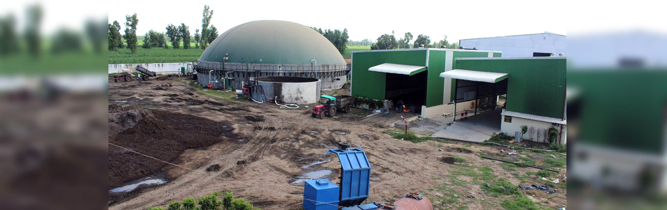Bio Spark 4TPD Plant, Muzaffar Nagar
